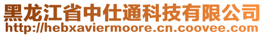 黑龍江省中仕通科技有限公司