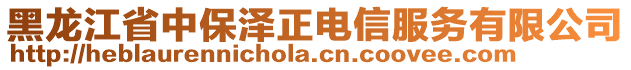 黑龍江省中保澤正電信服務(wù)有限公司