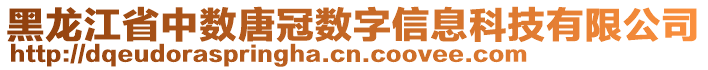 黑龍江省中數(shù)唐冠數(shù)字信息科技有限公司