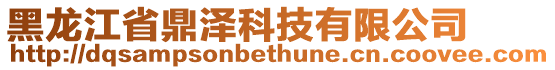 黑龍江省鼎澤科技有限公司