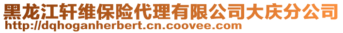 黑龍江軒維保險代理有限公司大慶分公司
