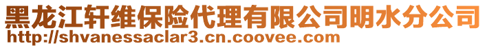 黑龍江軒維保險代理有限公司明水分公司