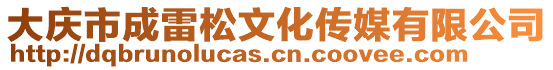 大慶市成雷松文化傳媒有限公司