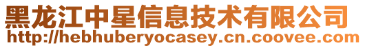 黑龍江中星信息技術有限公司