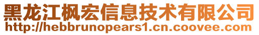 黑龍江楓宏信息技術有限公司