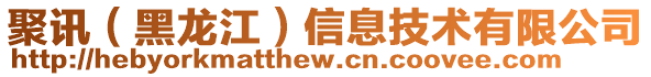 聚訊(黑龍江)信息技術(shù)有限公司