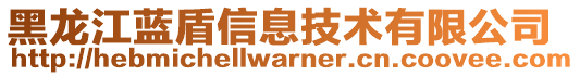 黑龍江藍盾信息技術(shù)有限公司