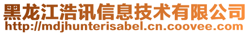 黑龍江浩訊信息技術有限公司