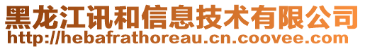 黑龍江訊和信息技術(shù)有限公司