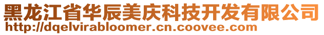 黑龍江省華辰美慶科技開發有限公司