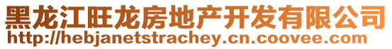 黑龍江旺龍房地產開發有限公司