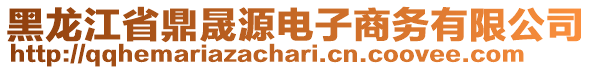 黑龍江省鼎晟源電子商務(wù)有限公司