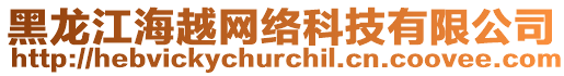 黑龍江海越網(wǎng)絡(luò)科技有限公司