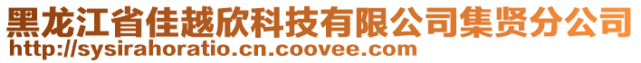 黑龍江省佳越欣科技有限公司集賢分公司