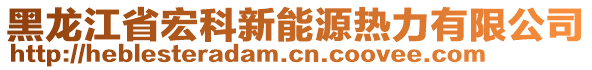 黑龍江省宏科新能源熱力有限公司