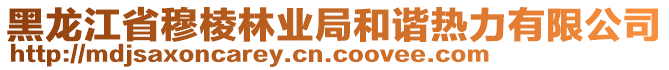 黑龍江省穆棱林業(yè)局和諧熱力有限公司