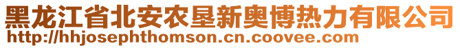 黑龍江省北安農(nóng)墾新奧博熱力有限公司