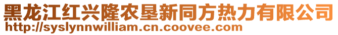 黑龍江紅興隆農(nóng)墾新同方熱力有限公司