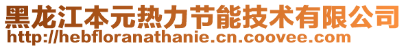 黑龍江本元熱力節(jié)能技術(shù)有限公司