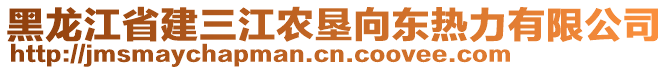 黑龍江省建三江農(nóng)墾向東熱力有限公司