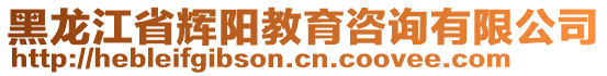 黑龍江省輝陽教育咨詢有限公司