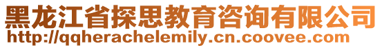 黑龍江省探思教育咨詢有限公司