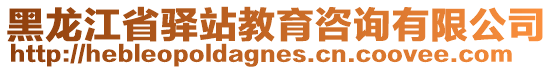 黑龍江省驛站教育咨詢有限公司