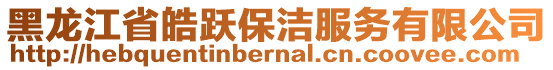 黑龙江省皓跃保洁服务有限公司