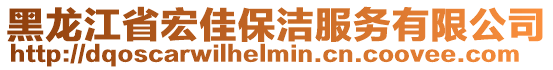 黑龍江省宏佳保潔服務有限公司