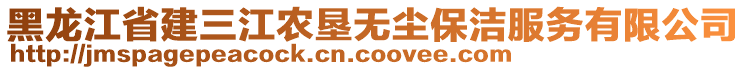 黑龍江省建三江農墾無塵保潔服務有限公司