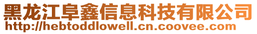 黑龍江阜鑫信息科技有限公司