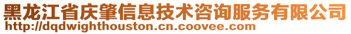 黑龍江省慶肇信息技術(shù)咨詢(xún)服務(wù)有限公司