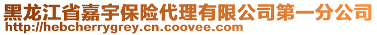 黑龍江省嘉宇保險代理有限公司第一分公司