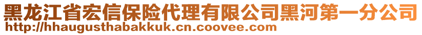 黑龍江省宏信保險(xiǎn)代理有限公司黑河第一分公司