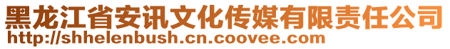 黑龍江省安訊文化傳媒有限責任公司