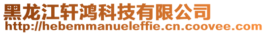 黑龍江軒鴻科技有限公司