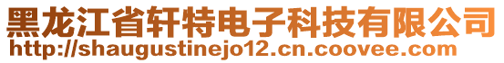 黑龍江省軒特電子科技有限公司