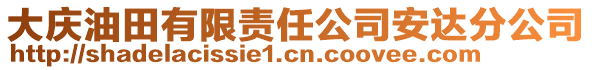 大慶油田有限責任公司安達分公司