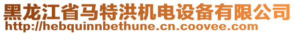 黑龍江省馬特洪機(jī)電設(shè)備有限公司