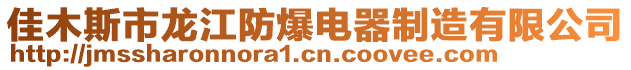 佳木斯市龍江防爆電器制造有限公司