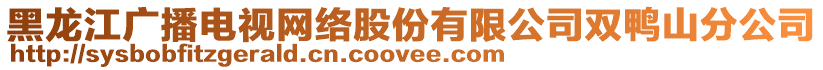 黑龍江廣播電視網(wǎng)絡(luò)股份有限公司雙鴨山分公司