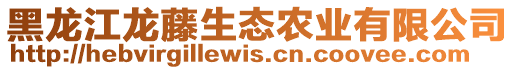 黑龍江龍?zhí)偕鷳B(tài)農(nóng)業(yè)有限公司