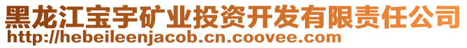 黑龍江寶宇礦業(yè)投資開發(fā)有限責(zé)任公司