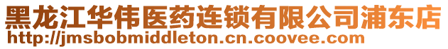 黑龍江華偉醫藥連鎖有限公司浦東店
