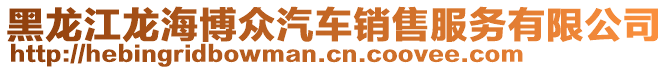 黑龍江龍海博眾汽車銷售服務(wù)有限公司