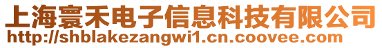 上海寰禾電子信息科技有限公司