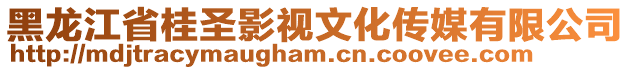 黑龙江省桂圣影视文化传媒有限公司