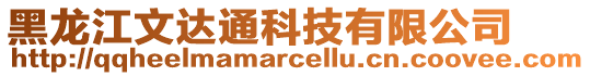 黑龙江文达通科技有限公司