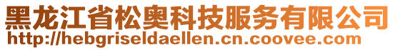 黑龍江省松奧科技服務(wù)有限公司