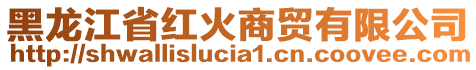 黑龙江省红火商贸有限公司